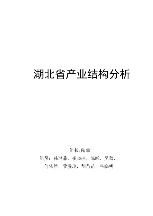 湖北省新兴产业情况