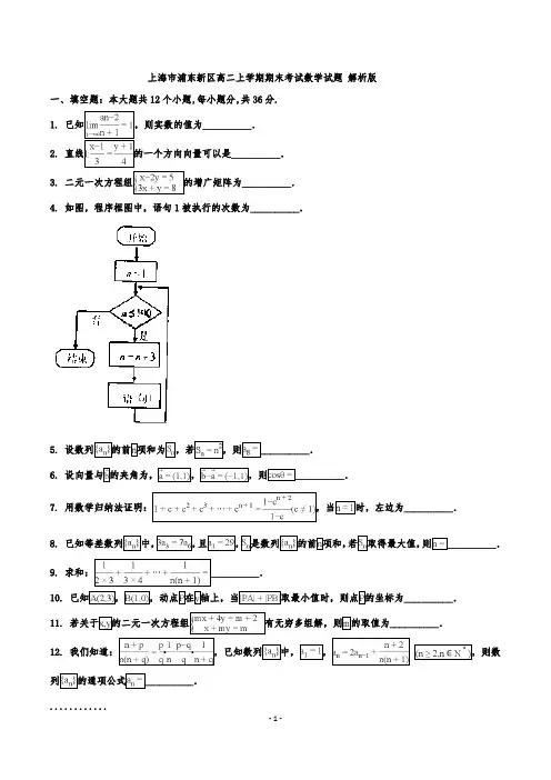上海市浦东新区高二上学期期末考试数学试题 解析版