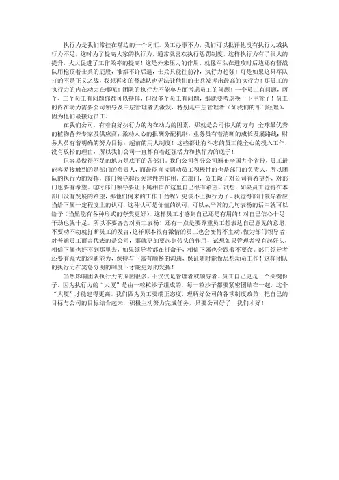 团队执行力培训心得体会