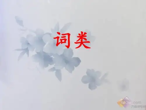 词类