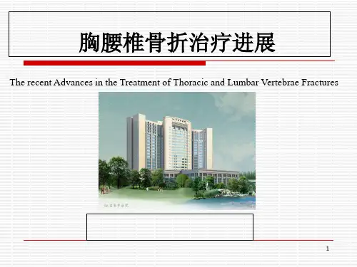 胸腰椎骨折治疗进展培训PPT课件