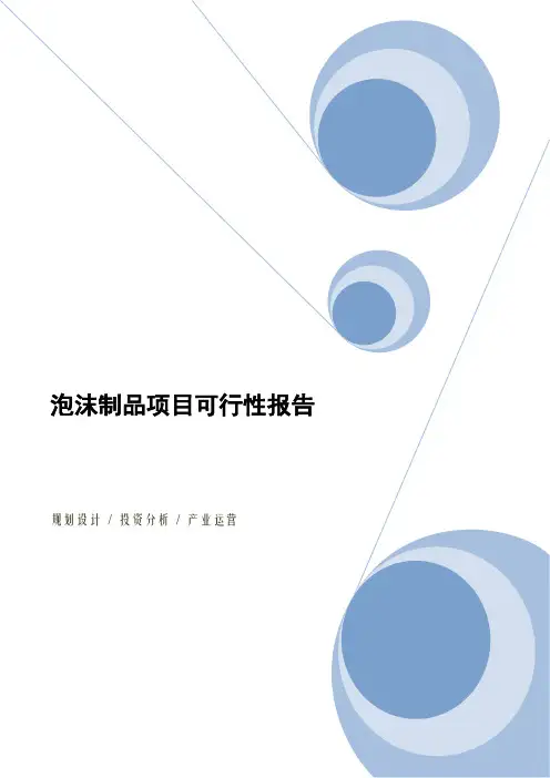 泡沫制品项目可行性报告