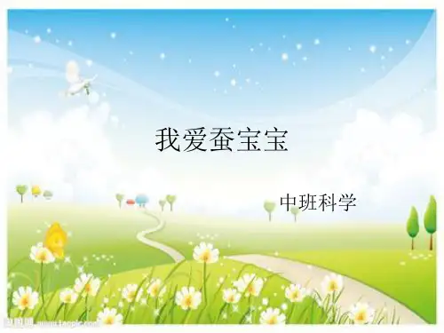 中班科学 我爱蚕宝宝