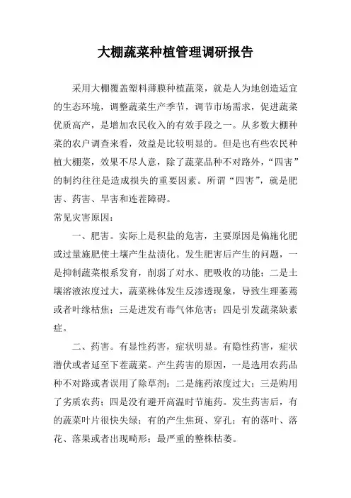 大棚蔬菜种植调研报告