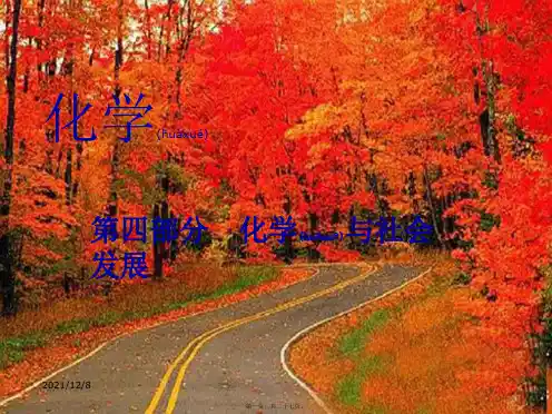 中考化学专题复习 第四部分 化学与社会发展课件