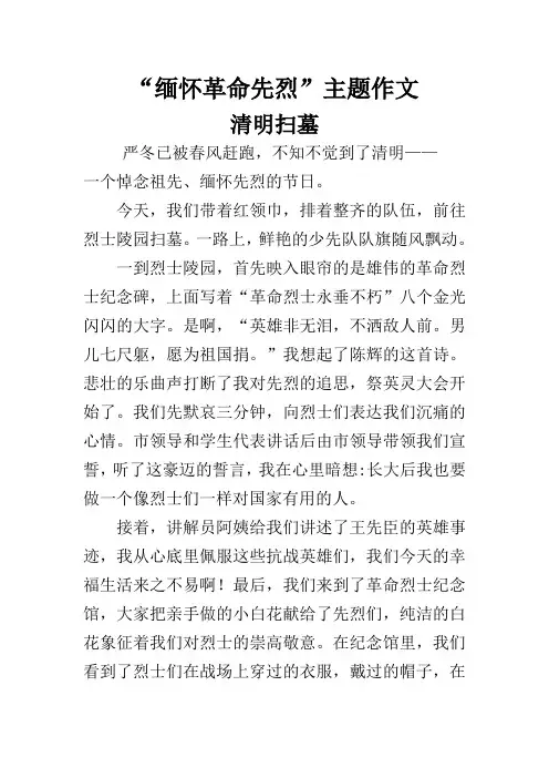 缅怀革命先烈主题作文