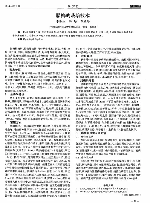 腊梅的栽培技术