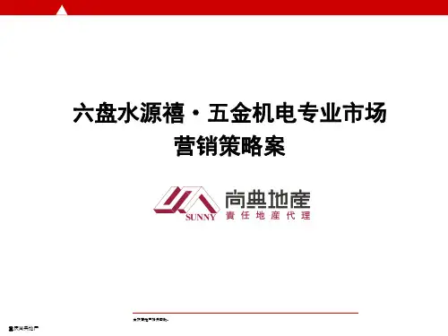 六盘水禧源五金机电营销策划案
