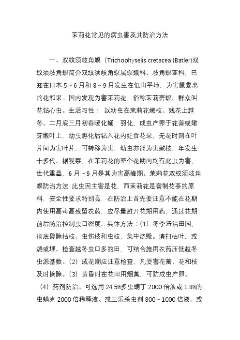 茉莉花常见的病虫害及其防治方法