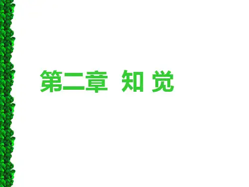第二章知觉与模式识别