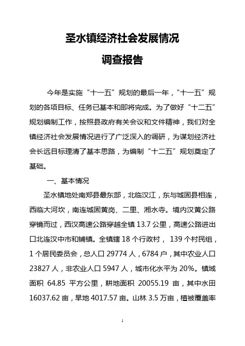 乡镇调研报告