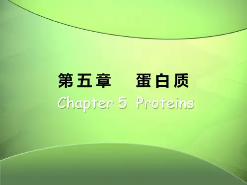 食品化学课件    第 五 章 蛋白质