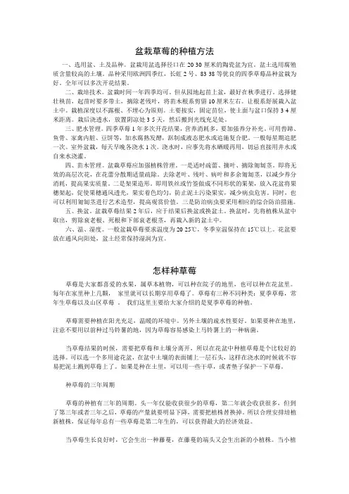 草莓的种植方法