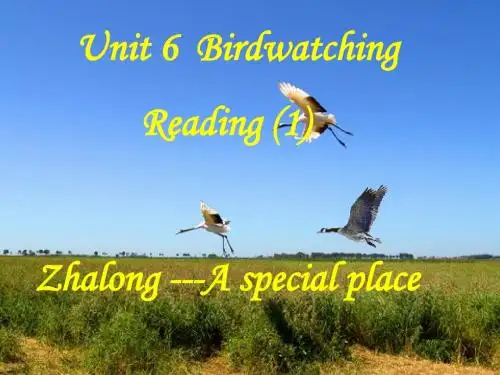 Unit6 Birdwatching reading课件(共27张)(牛津译林版八上)