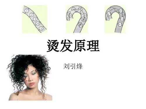烫发原理