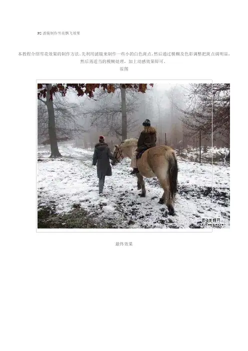 PS滤镜制作雪花飘飞效果