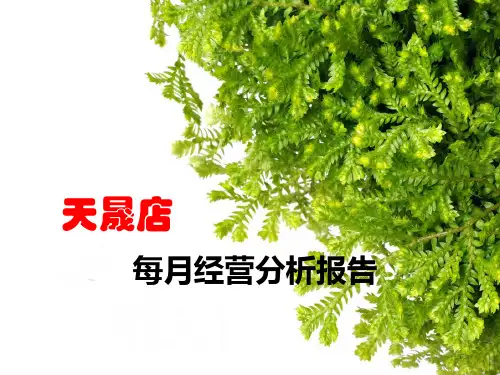 药店每月经营分析报告模板
