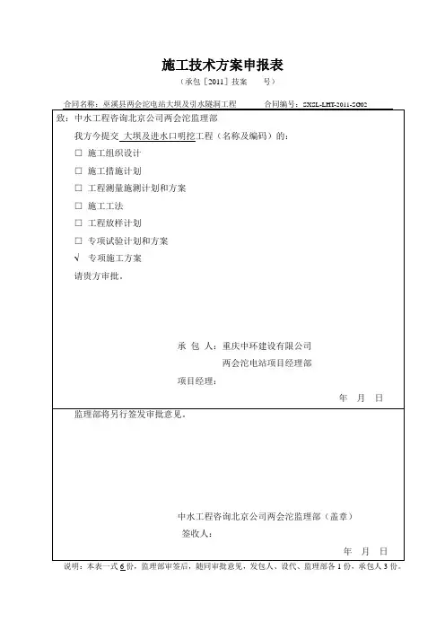 大坝、进水口开挖专项施工方案