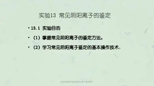 常见阴阳离子的鉴定鉴定离子鉴定离子课件