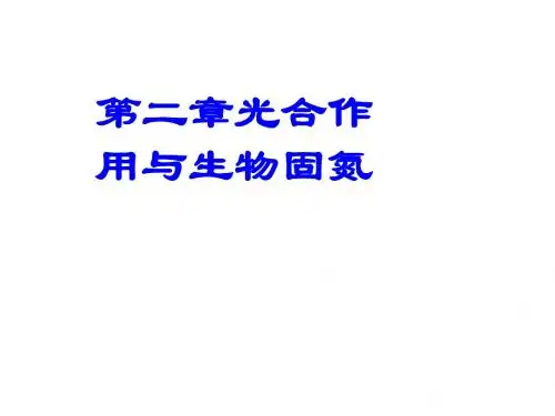生物固氮