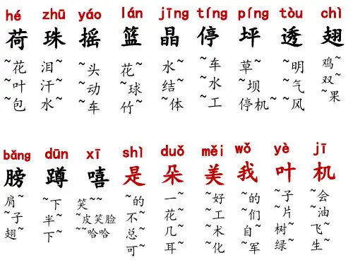 生字荷叶圆圆