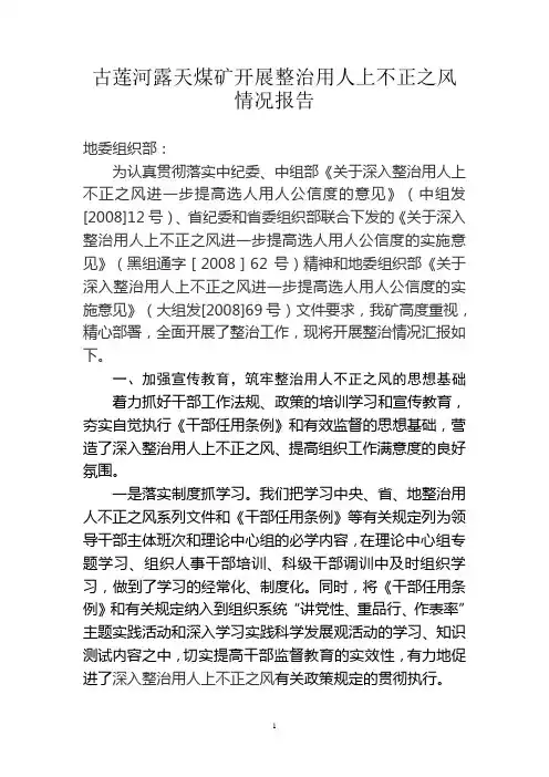 开展选人用人上不正之风整治情况报告