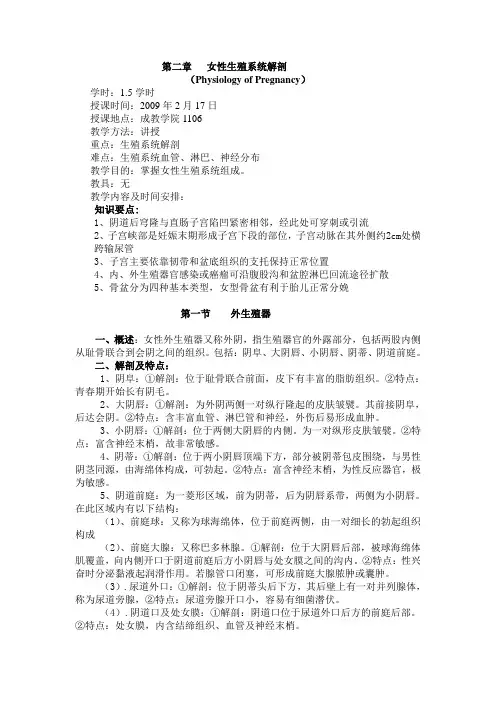 女性生殖系统解剖