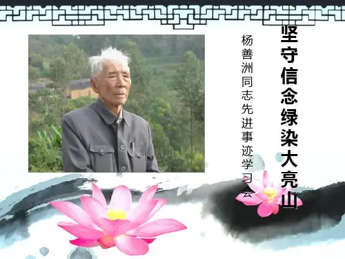 学习杨善洲先进事迹PPT