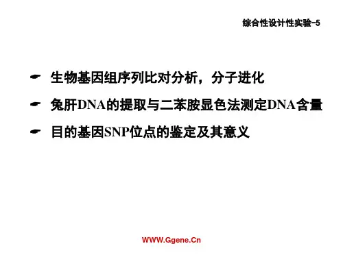 基因组序列比对分析及相关软件的使用