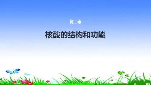 生化课件-核酸