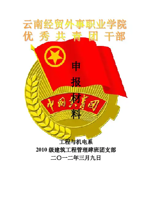 优秀共青团干部申报材料 2