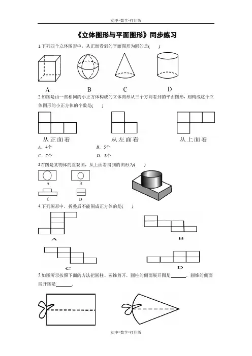 北京版-数学-七年级上册-《平面图形与立体图形》同步练习3