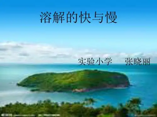 教科版科学四上《溶解的快与慢》说课稿PPT课件