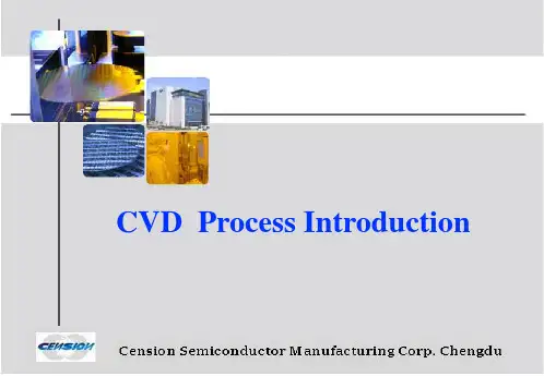 CVDProcessintrodution