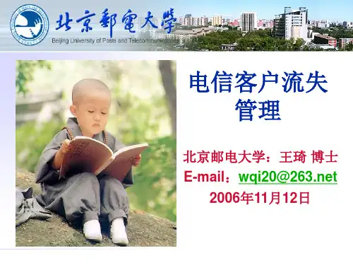 中国移动通信客户流失管理(ppt 79页)