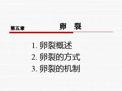 第五章 卵裂