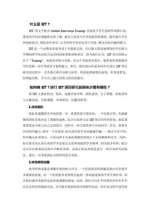 关于SIT的相关介绍