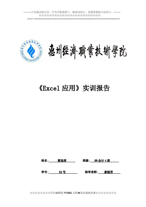 《Excel应用》实训报告