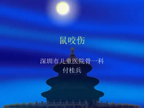 鼠咬伤
