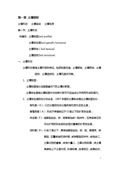 土壤地理学  土壤剖析