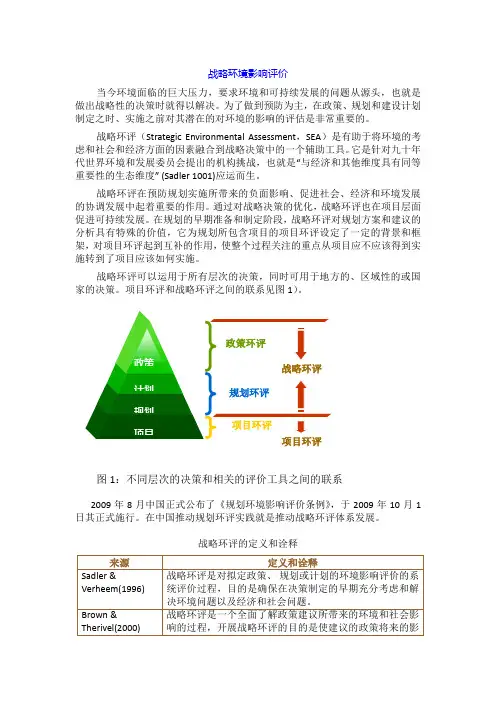 战略环境影响评价