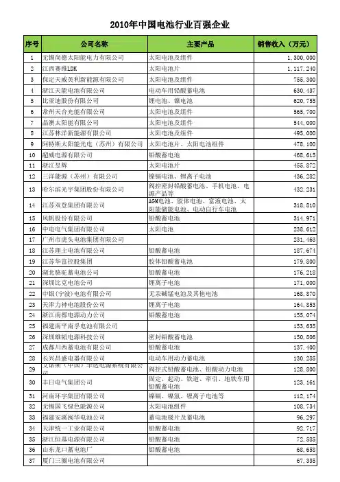 2010年中国电池行业百强企业