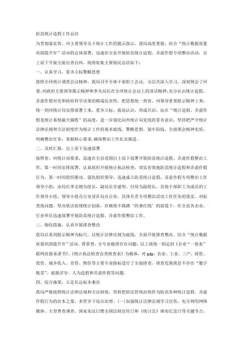 防范统计造假工作总结.docx