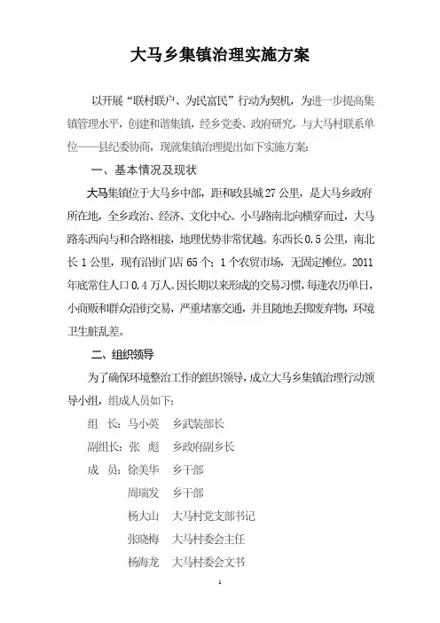 大马乡集镇治理实施方案