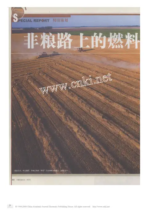 非粮路上的燃料乙醇