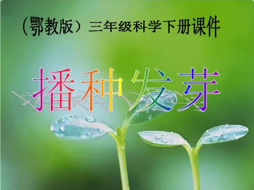 鄂教版科学三下《播种发芽》PPT课件3