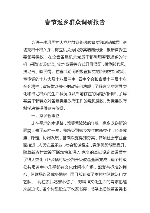 春节返乡群众调研报告