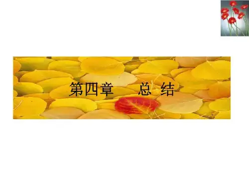 财经应用写作 样板 5 总 结(精选)