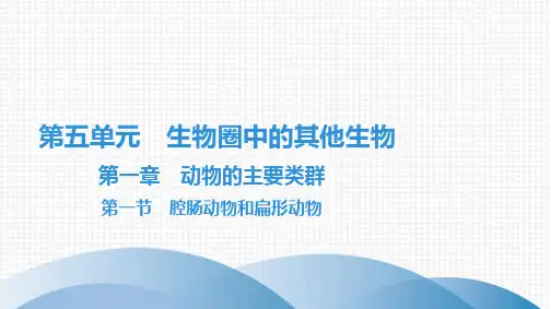 最新人教版八年级上册生物第五单元生物圈中的其他生物第一章动物的主要类群第一节腔肠动物和扁形动物