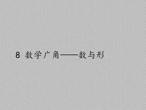 六年级上册数学课件-8 数学广角——数与形｜人教版(共26张PPT)